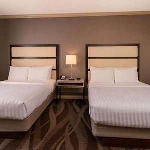 Queen Suite Lake View